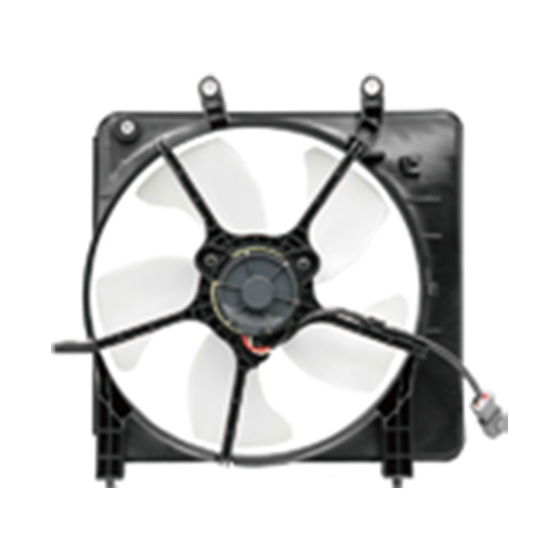 FITIJAZZ (FAN RAD) 2005-2006 CFHS02